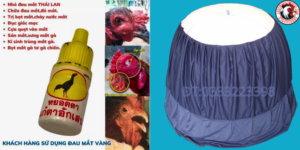 thuốc chữa gà bị đau mắt