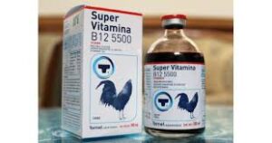 chua ga choi bi dom 5f2032fc18d1d