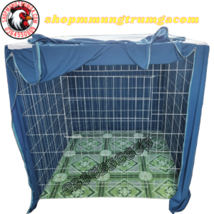 Mùng chuồng gà 80 vuông. 7 mùng chuồng gà 80 vuông